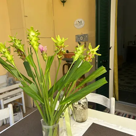 Bed & Breakfast Donna Michelina *